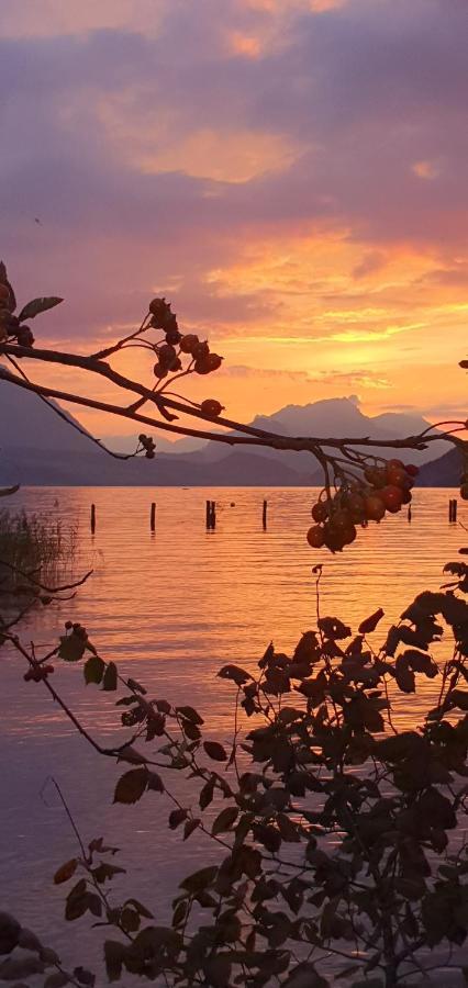 Ferienwohnung Ankerplatz Spiez Eksteriør bilde